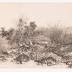 Thumbnail: Reproduction of Sesshus Long Landscape Scroll; 1907; Collotype print; 53 1 3/4 x 14 3/4 in.; Collection of Isamu Noguchi. (Study Collection; Collectibles, C-V-34)

, image 2