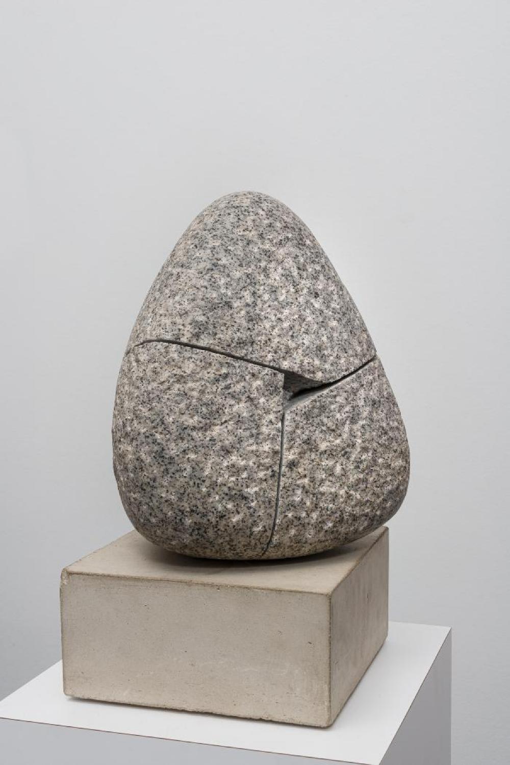 Quasitet, image 5