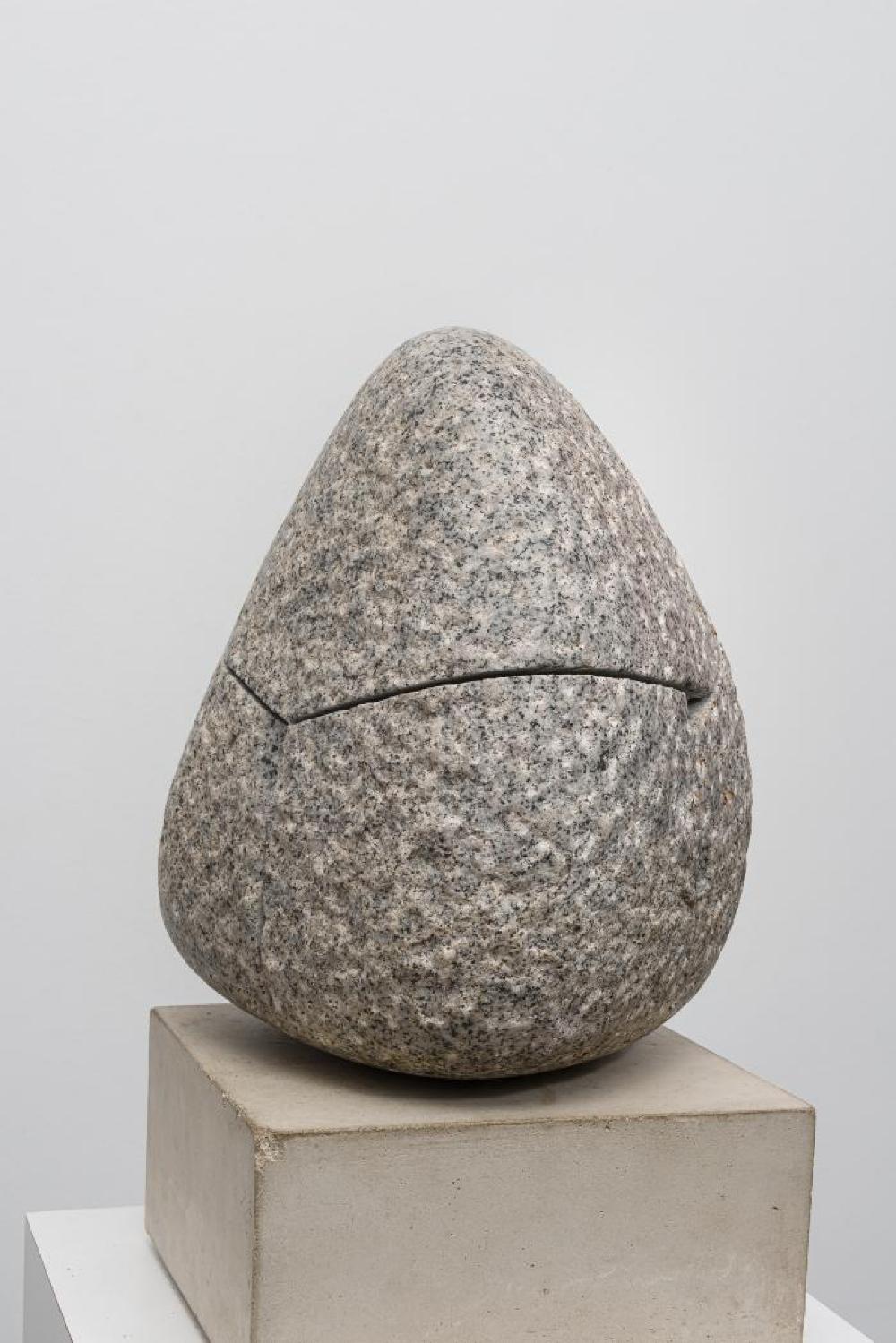 Quasitet, image 7