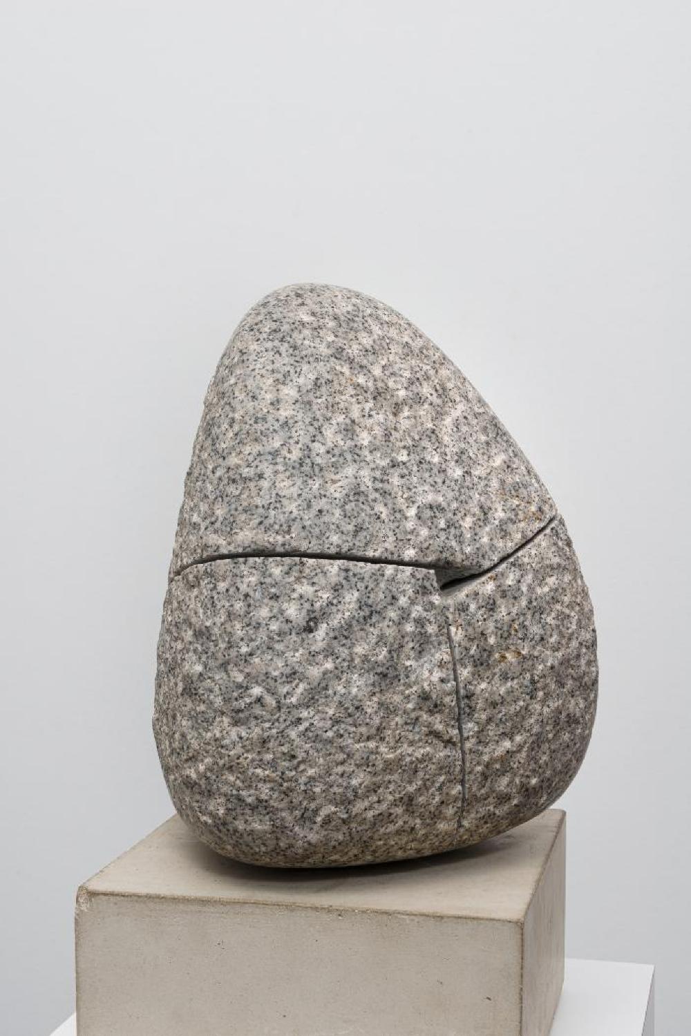 Quasitet, image 8