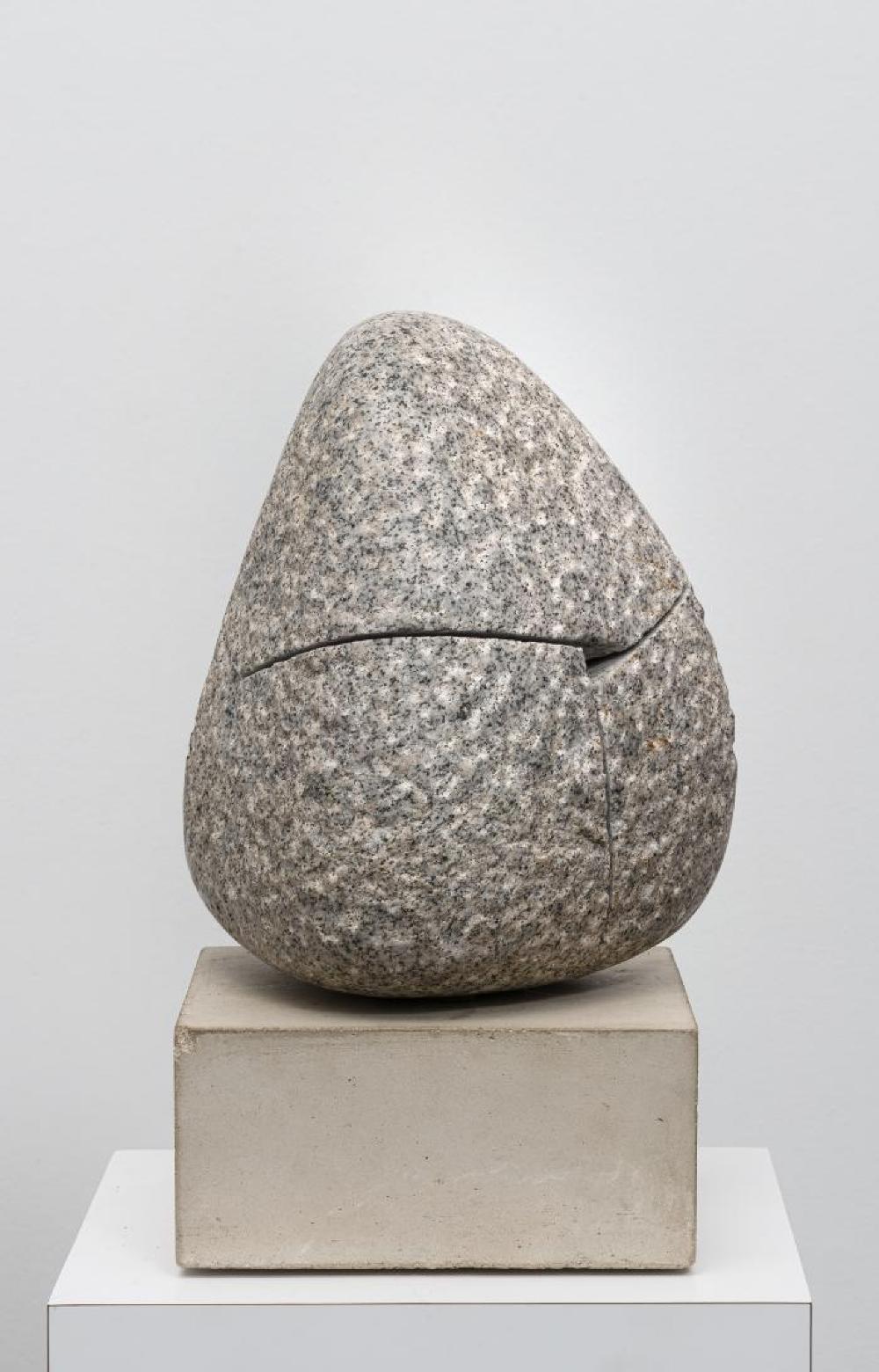 Quasitet, image 9
