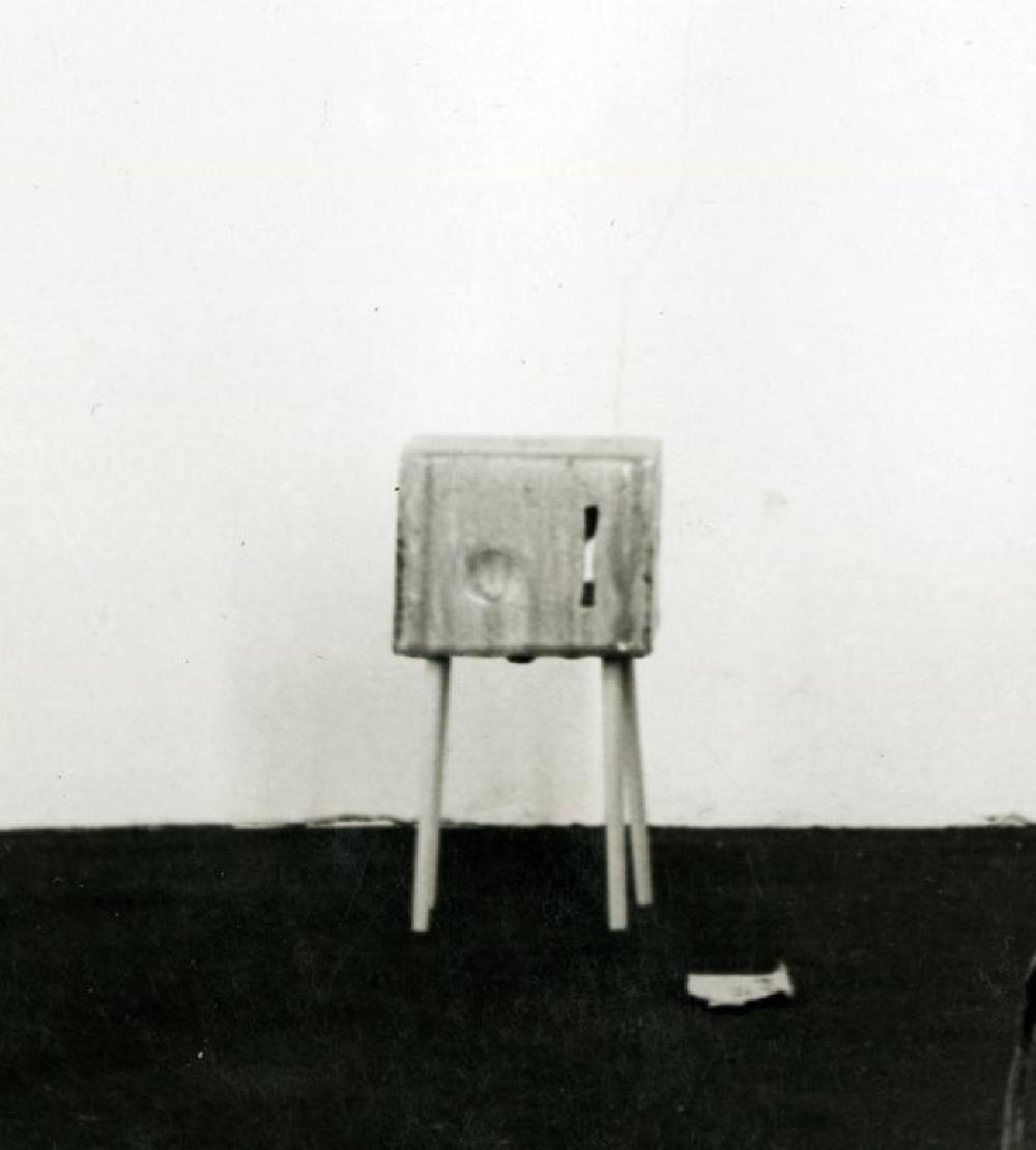 Little Walking Box, image 17