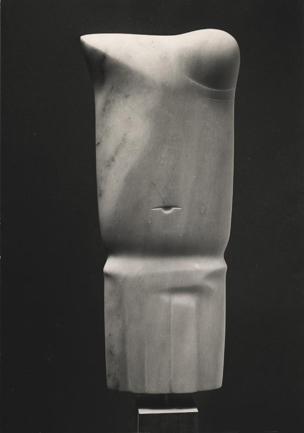 Girl Torso, image 2