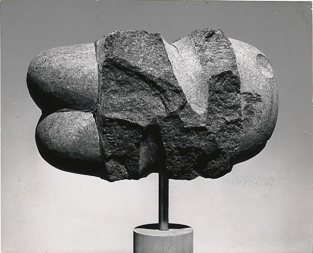 Chrysalis, image 3