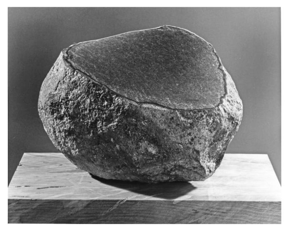 The Inner Surface, image 5