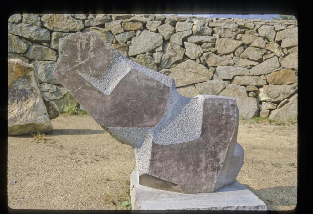 Condor, image 9