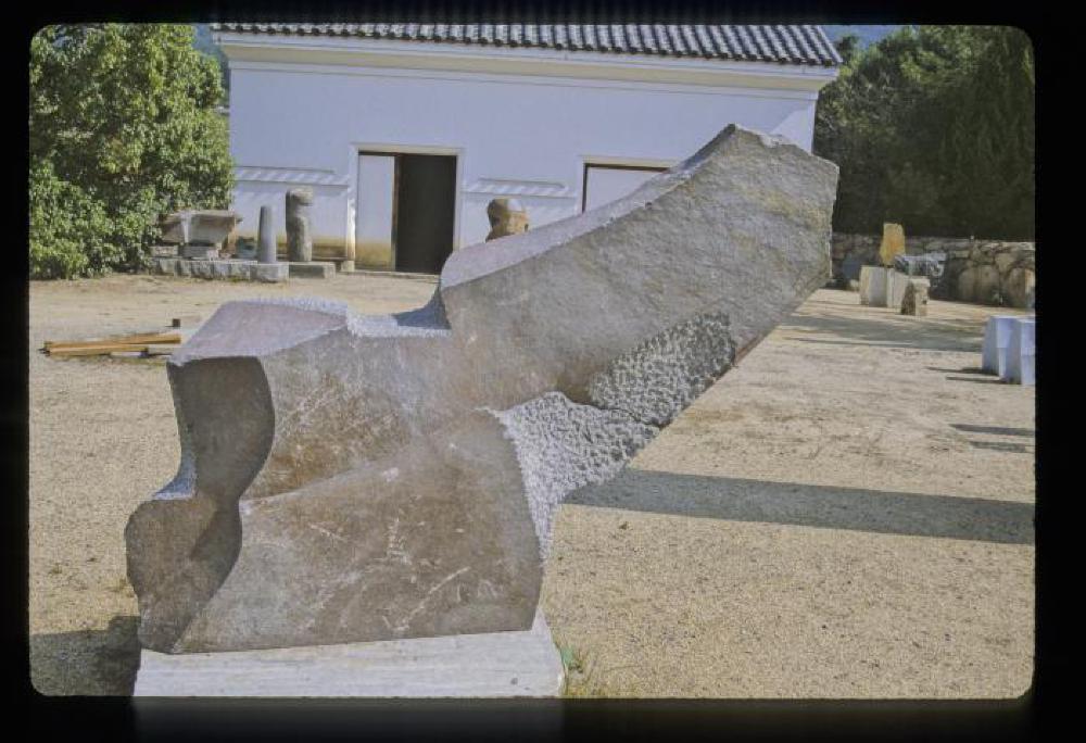 Condor, image 8