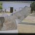 Thumbnail: Condor, image 8