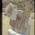 Thumbnail: Condor, image 10