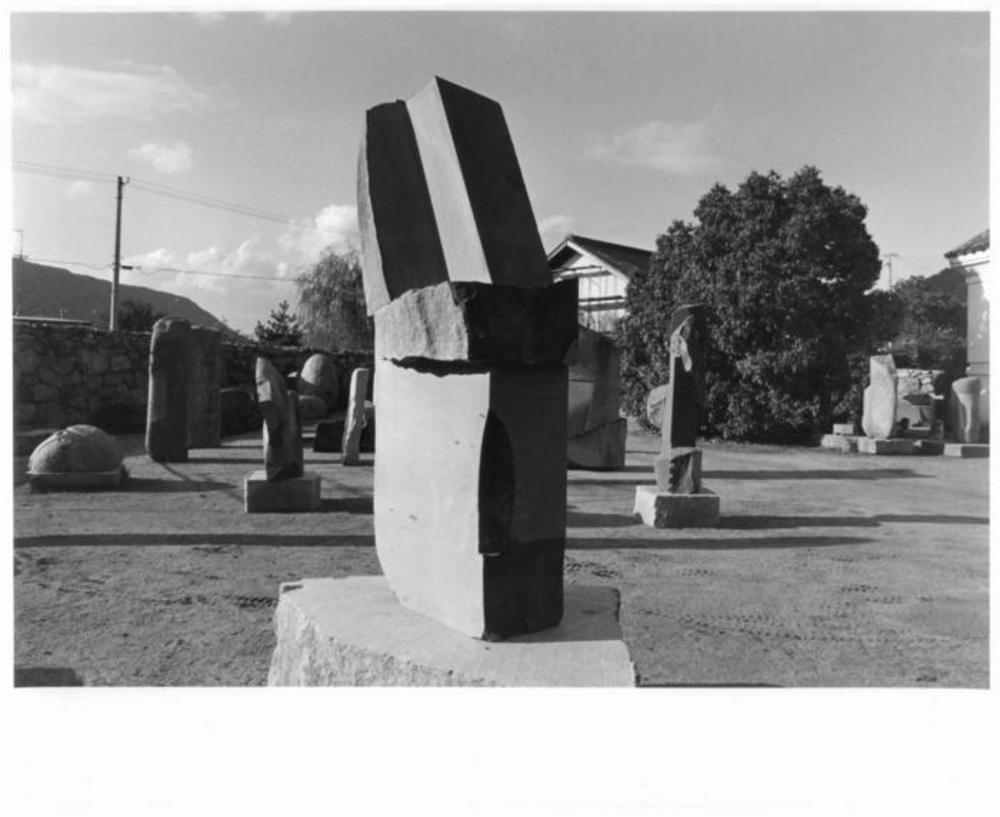Condor, image 4