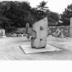Thumbnail: Condor, image 5