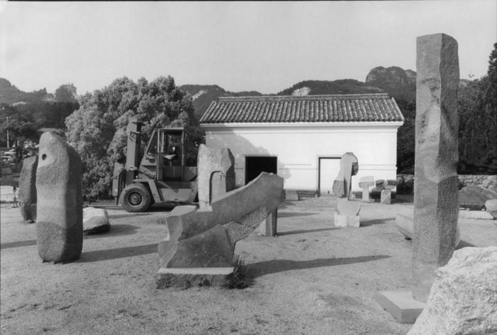 Condor, image 6