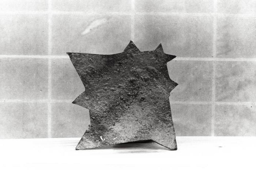 Dish, image 2