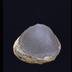 Thumbnail: The Inner Surface, image 3
