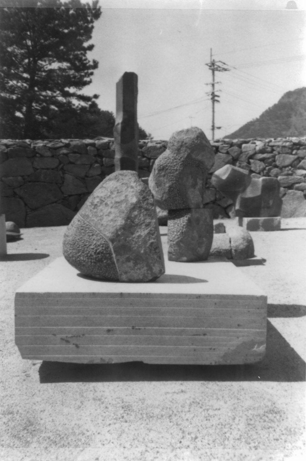 Condor, image 2