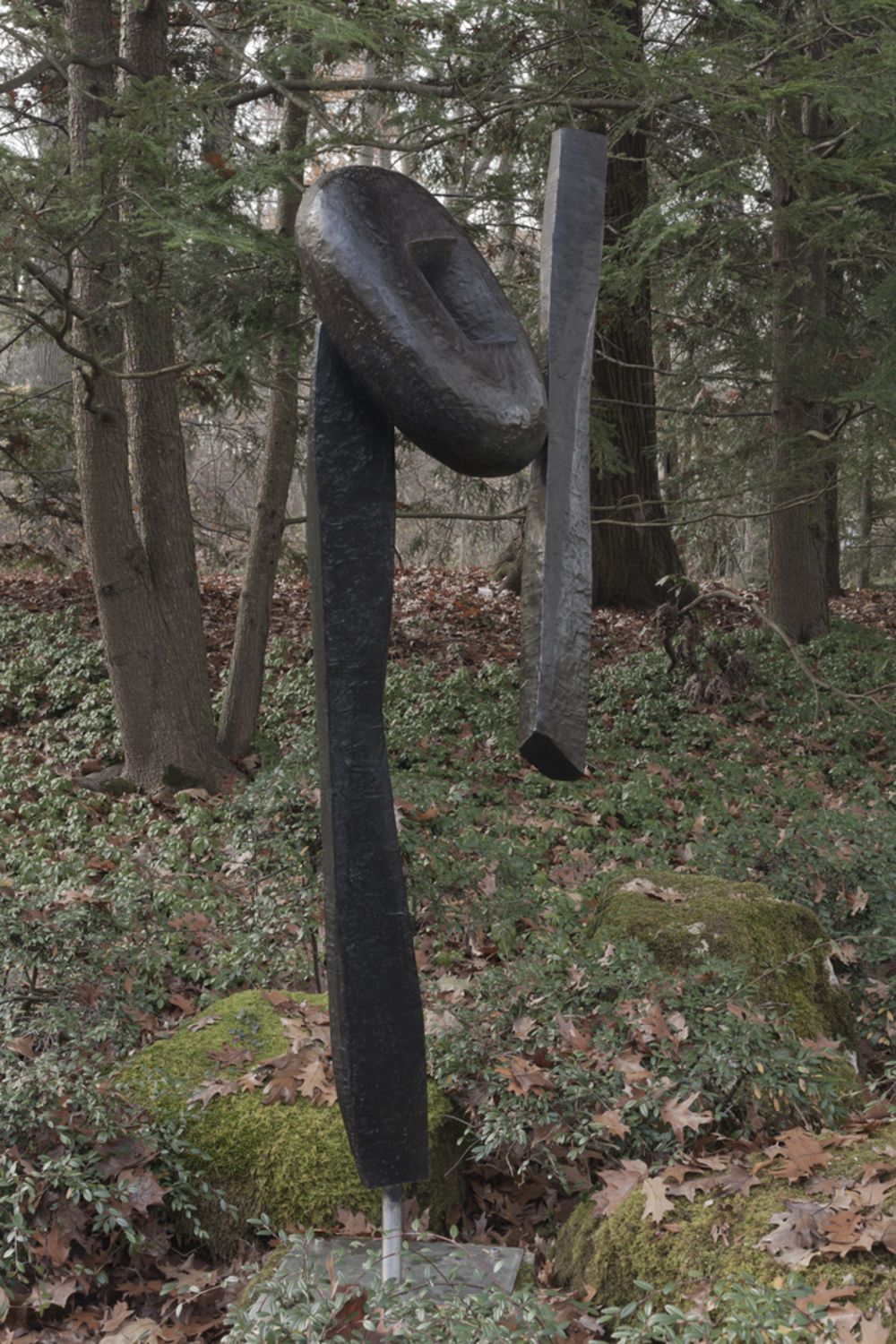The Cry, image 2
