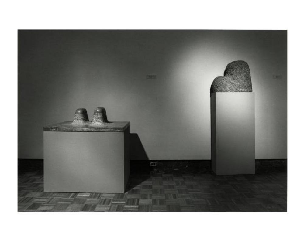 Installation view of "Noguchi's Imaginary Landscapes," Detroit Institute of Fine Arts, April 10 – June 10 1979 (travel from Walker Art Center)