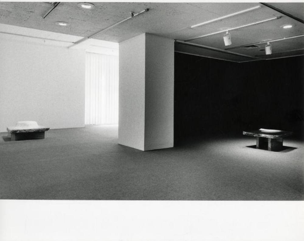 Installation view of "75th Birthday Exhibition, Landscape Tables, 1968 - 79," Andre Emmerich Gallery, February 16, 1980 - March 15, 1980.