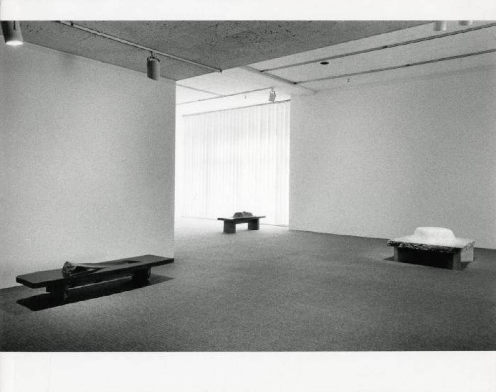 Installation view of "75th Birthday Exhibition, Landscape Tables, 1968 - 79," Andre Emmerich Gallery, February 16, 1980 - March 15, 1980.