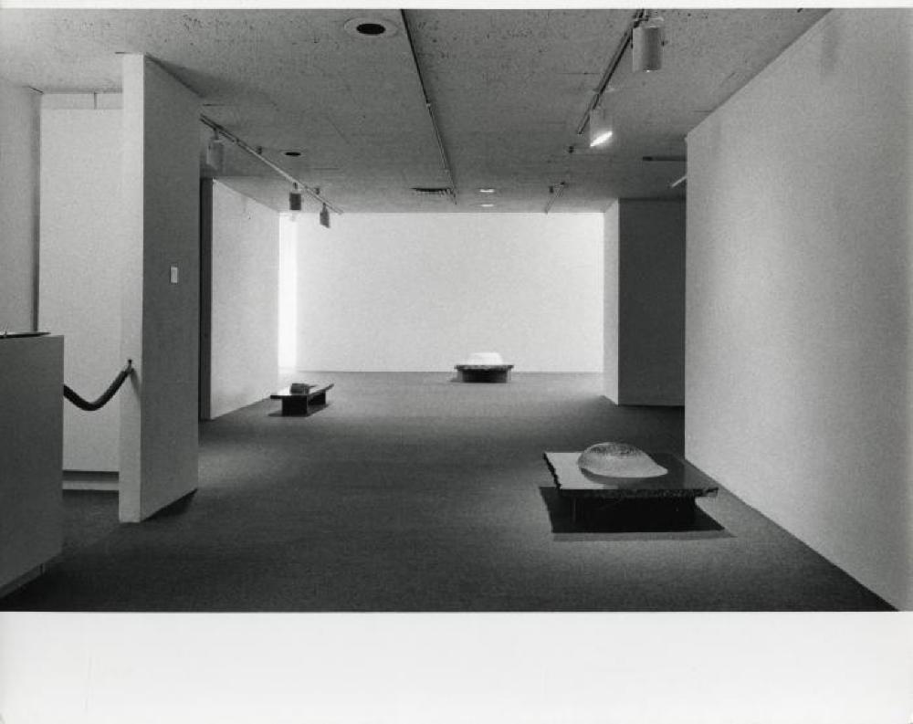 Installation view of "75th Birthday Exhibition, Landscape Tables, 1968 - 79," Andre Emmerich Gallery, February 16, 1980 - March 15, 1980.