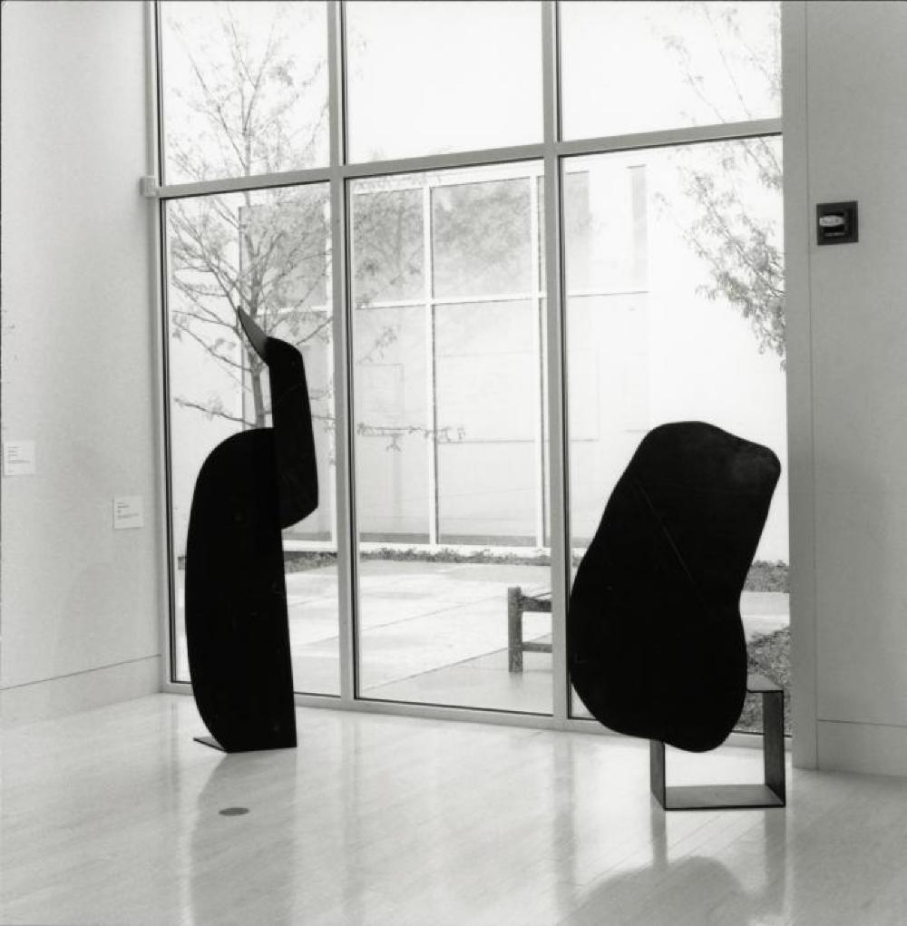 Installation view of "9 Gemini Bronzes," Butler Institute of American Art, June 14, 1996 - August 25, 1996.