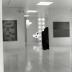 Installation view of 9 Gemini Bronzes, Butler Institute of American Art, June 14, 1996 - August 25, 1996.