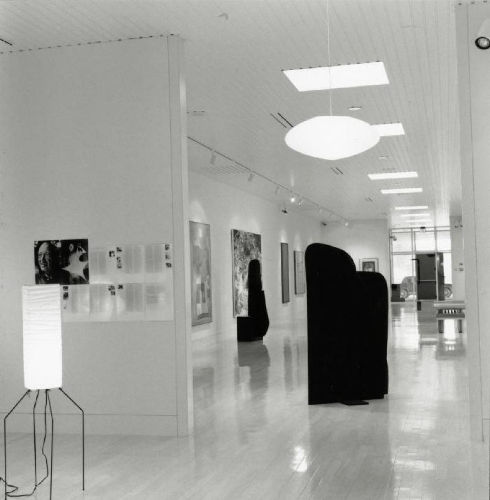 Installation view of "9 Gemini Bronzes," Butler Institute of American Art, June 14, 1996 - August 25, 1996.