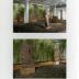 Installation view of Sculpture and Nature, The Noguchi Museum, June 29, 2002 - January 13, 2003.