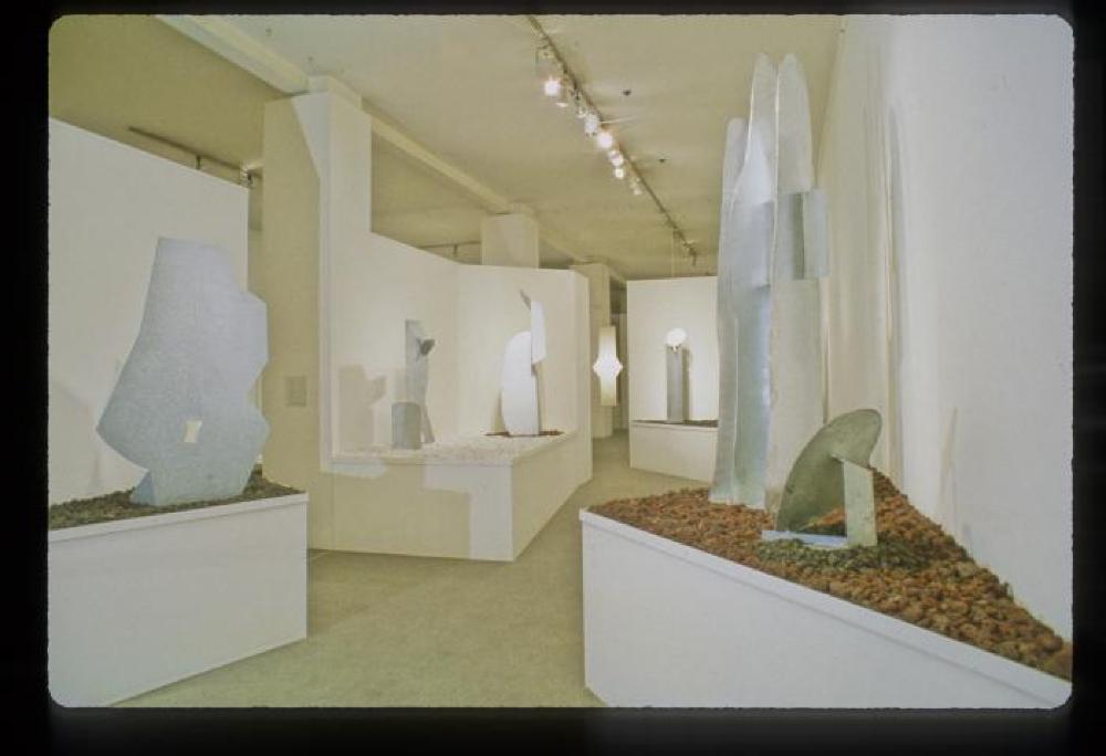 Installation view of "Gemini Exhibition," Carl Solway Gallery