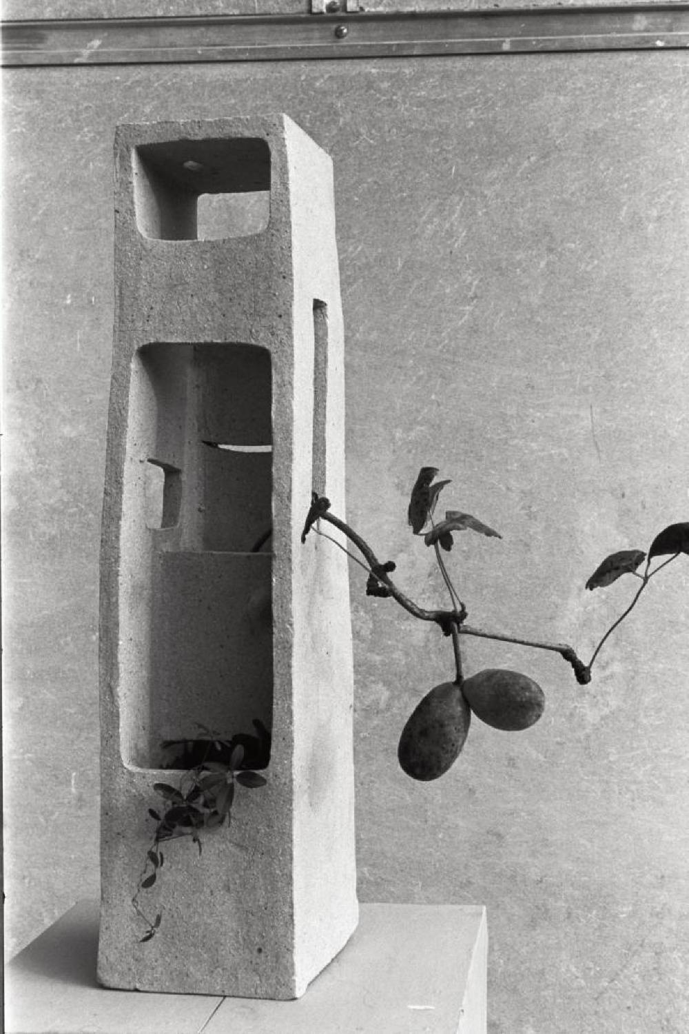 Installation view of "Isamu Noguchi Exhibition," Museum of Modern Art, Kamakura 