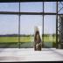 Installation view of Isamu Noguchi Exhibition in the Glass Pyramid, Moerenuma Park, Glass Pyramid Atrium, July 22, 2003 - August 31, 2003.